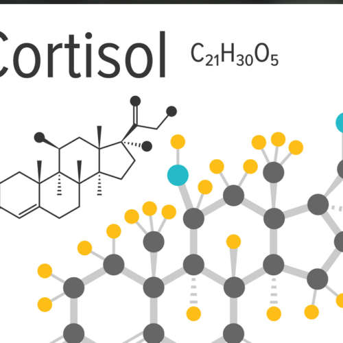 Cortisol