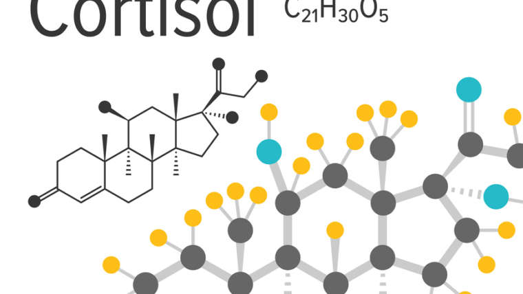 Bajar el cortisol