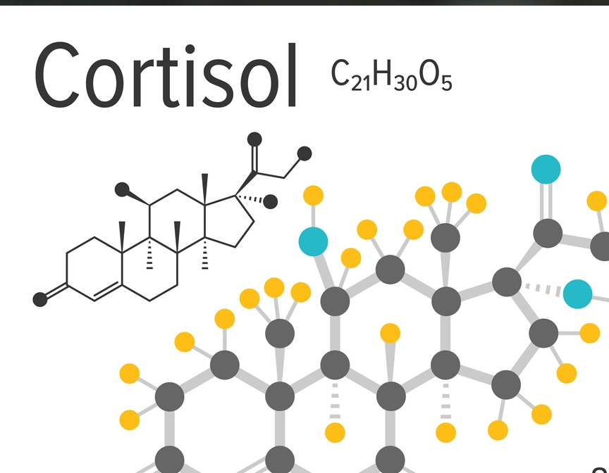 Cortisol