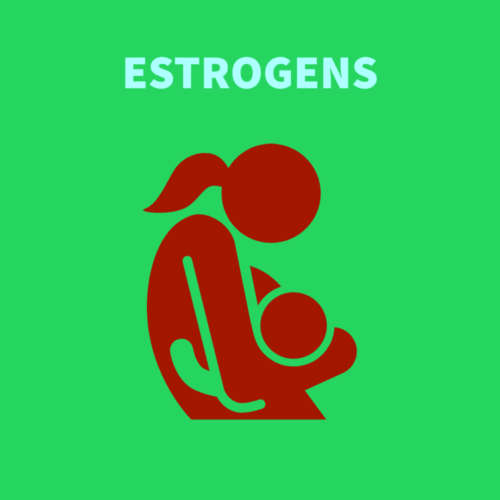 Estrogen