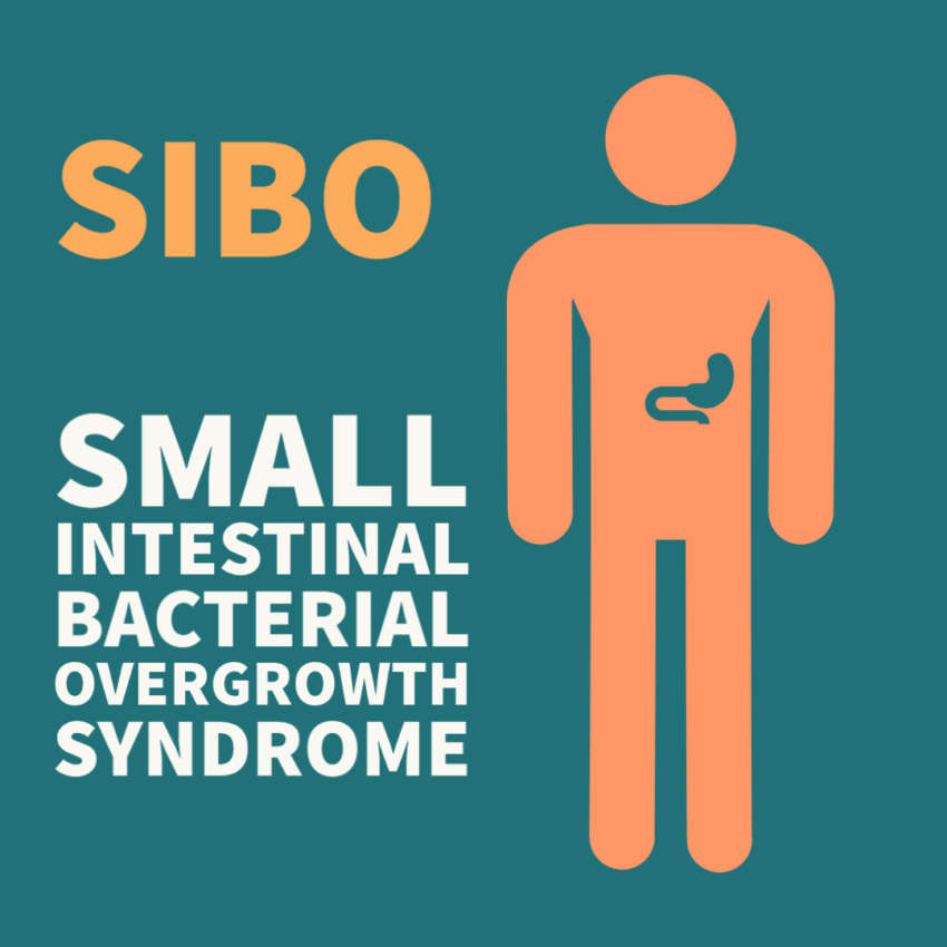 Small Intestinal Bacterial Overgrowth Syndrome (SIBO) DR. Said