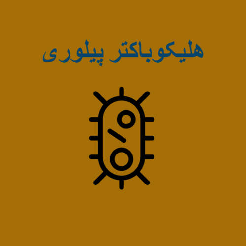 هلیکوباکتر پیلوری (H. pylori)