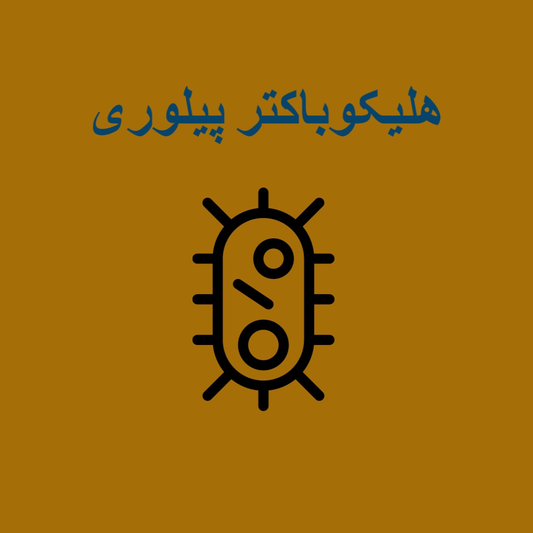 هلیکوباکتر پیلوری (H. pylori)