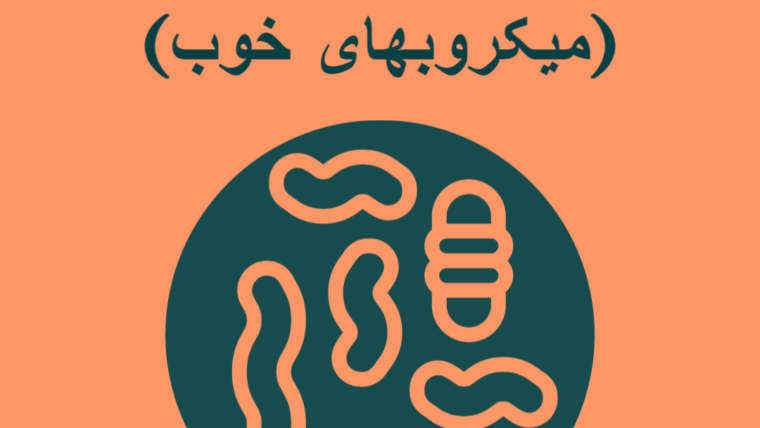 پروبیوتیک‌ها (میکروبهای خوب)